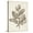 Canvas, variant on Art.com Antique Sepia Botanicals V Art Print by 0 Unknown, 12" x 16"