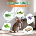 thumbnail image 2 of MouseRodentRepellent, 50 Pack Peppermint Oil to Repel Mice and Rats– KeepsRodentPests Away Effectively-Indoor/Outdoor Use, Safe for Homes & Pets Garden & Home, 2 of 7