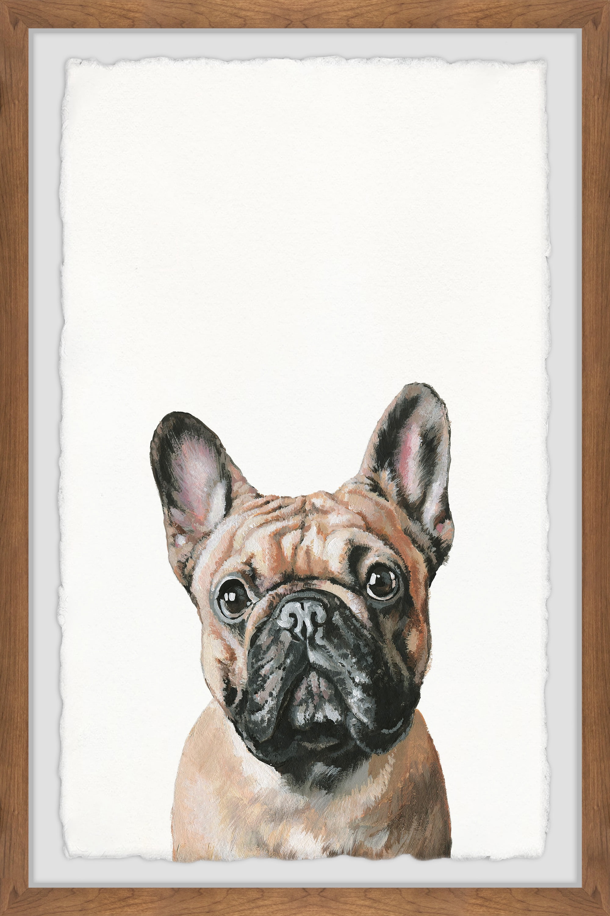 Marmont Hill "Plain Pug" Framed Painting Art Print, 8.00" x 1.50"