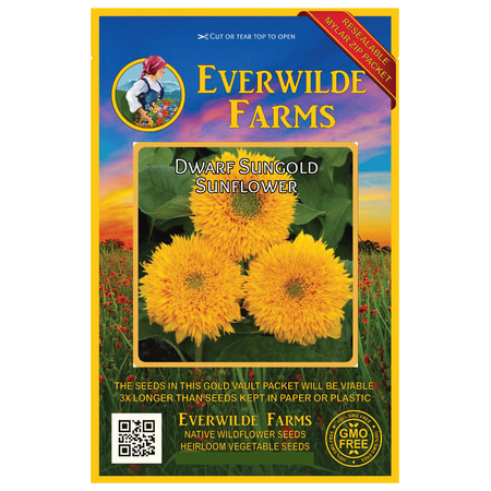 - Everwilde Farms - 100 Dwarf Sungold Sunflower Garden Flower Seeds - Gold Vault Jumbo Bulk Seed Packet