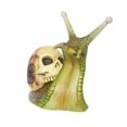 thumbnail image 1 of Esqueleto De Caracol De Terror, Estatua De Caracol De Jardín, Adorno De Resina Para Decoración Del Hogar Vogacara HA043107-02, 1 of 6
