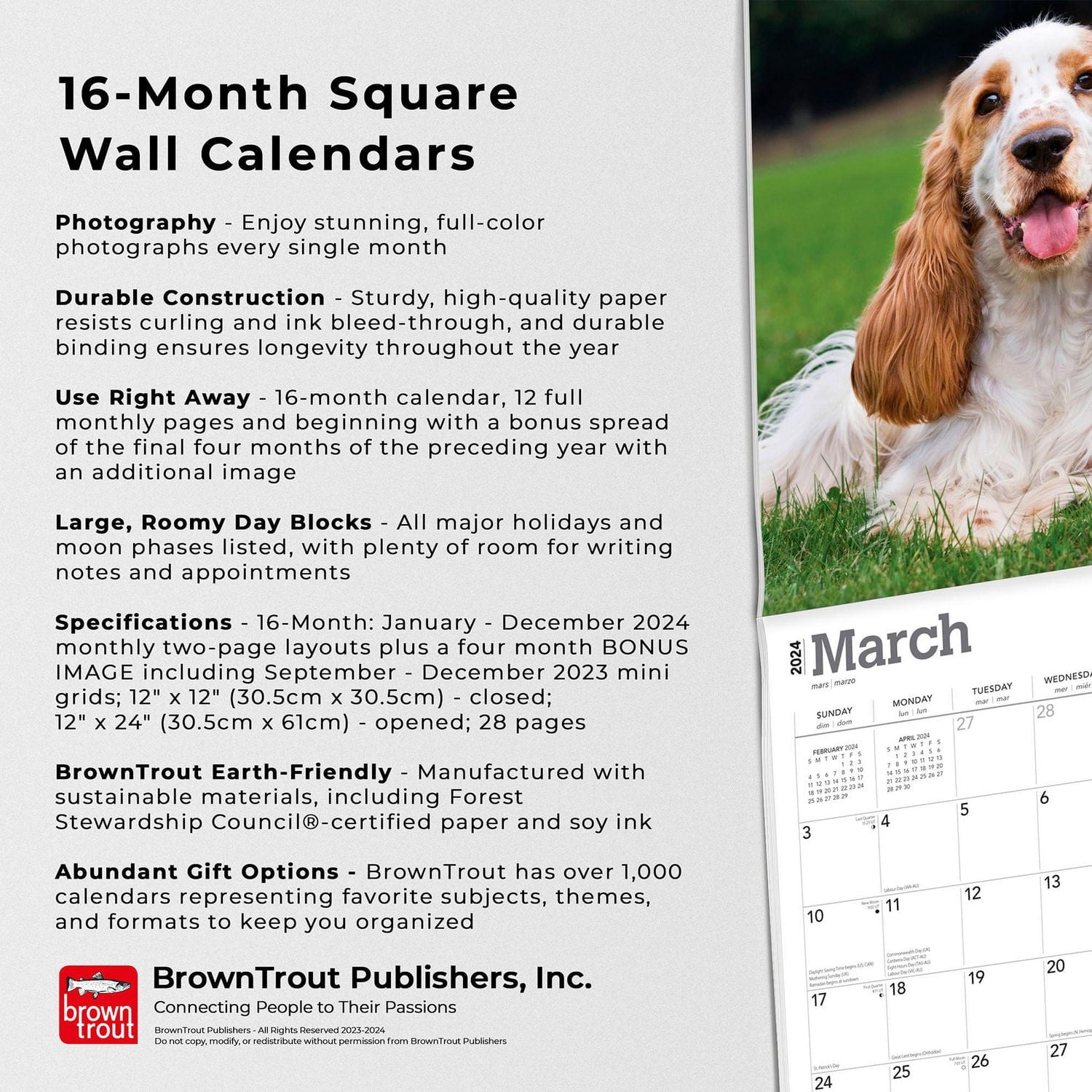BrownTrout English Cocker Spaniels 2024 12x24 Inch Square Wall Calendar, 9781975467876