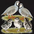 thumbnail image 3 of CafePress - Chukar Family Dark T Shirt - Men's Classic Graphic Cotton T-Shirt, 3 of 4