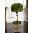 thumbnail image 2 of Preserved Boxwood, 2 of 4