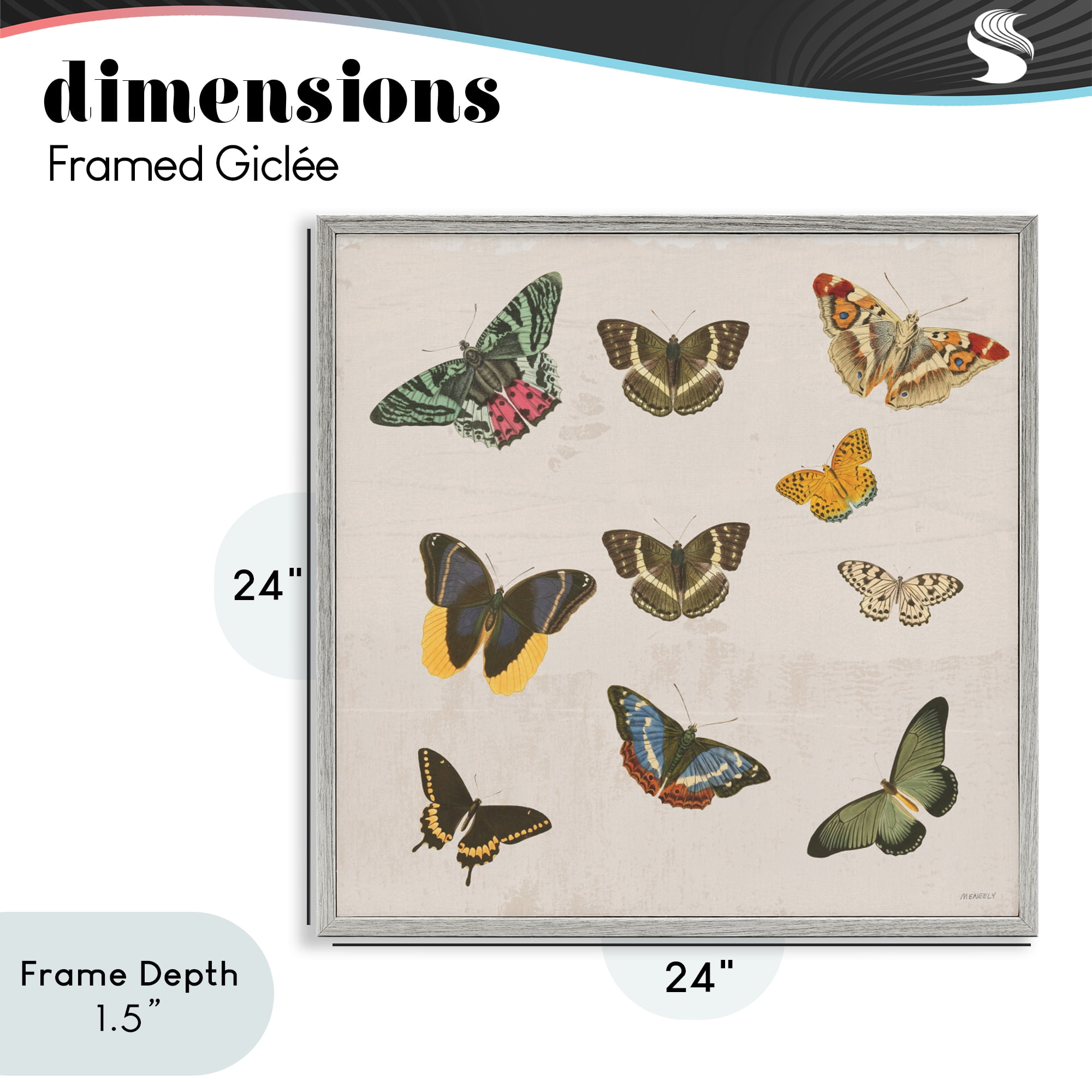 Stupell Industries Antique Butterfly Flight Gray Framed Giclee Art, design by Dan Meneely