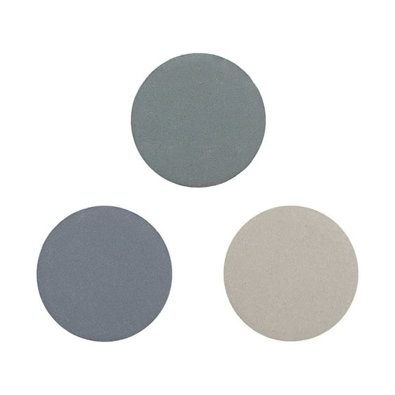 1-Inch Hook and Loop Sanding Disc Wet/Dry Silicon Carbide 2000/2500/3000 Grit Assorted 60 pcs