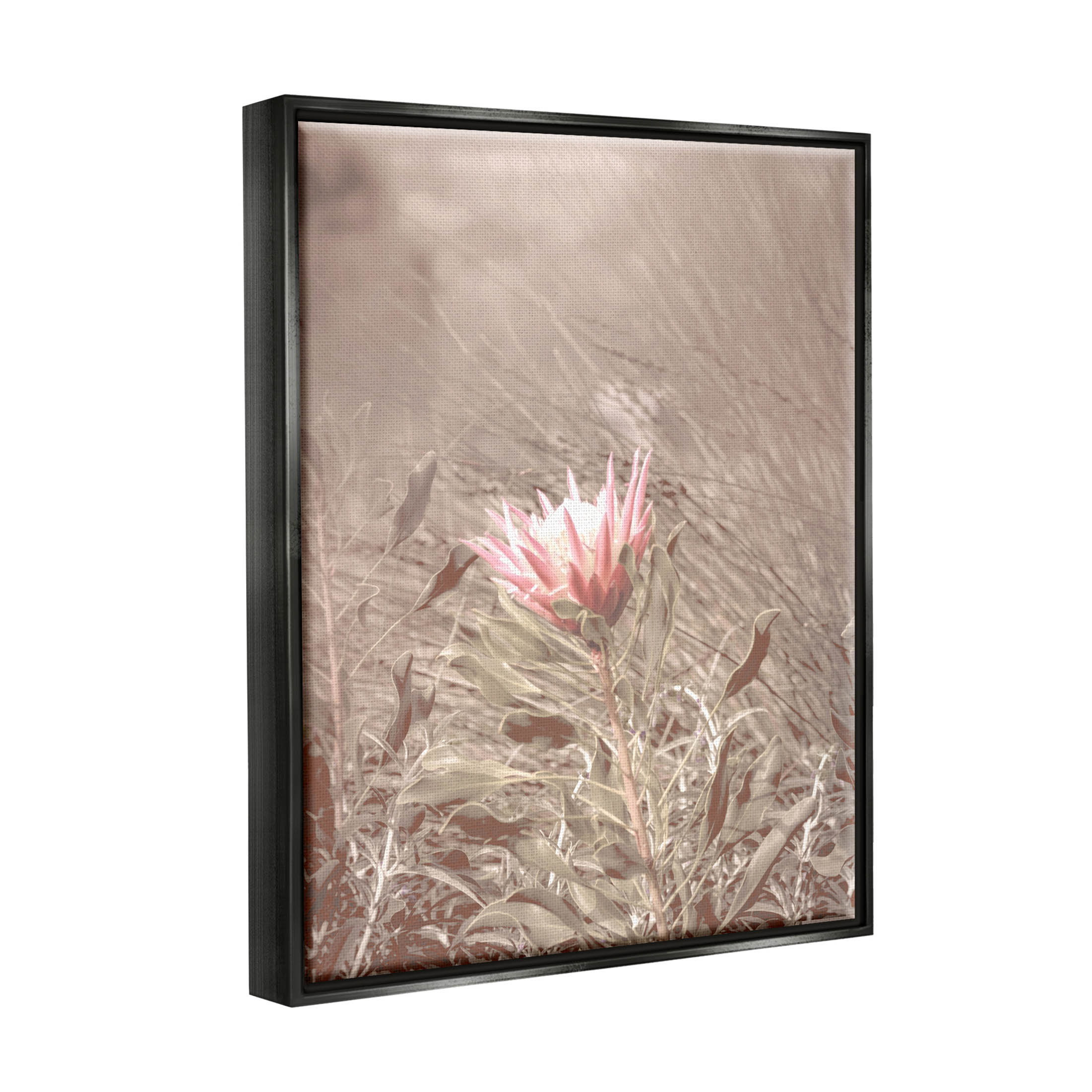 Stupell Industries Lone Pink Flower Grassland Photograph Jet Black Floating Framed Canvas Print Wall Art, Design by Lil' Rue
