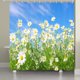thumbnail image 1 of Cortina de ducha de primavera de Jawo, conjunto de cortina de ducha de cielo azul con margaritas blancas de flores silvestres, cortina de baño con estampado de naturaleza verde, escenario botánico del Feliz Sencillez, 1 of 4