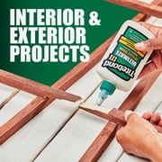 Titebond, Titebond III Ultimate Wood Glue, 4 oz Net Content