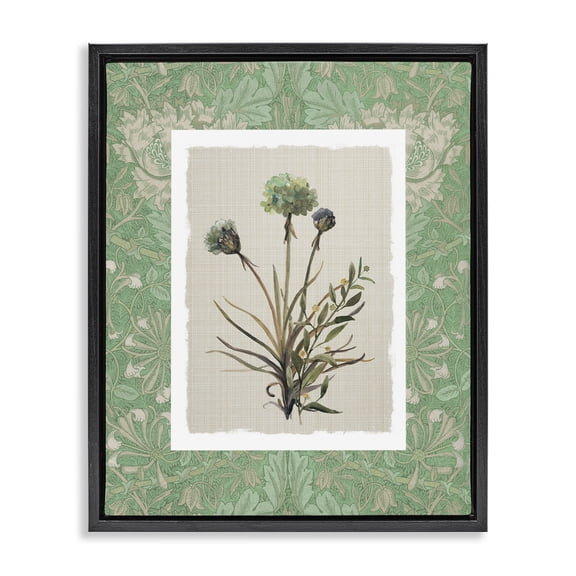 Stupell Industries French Country Vintage Foliage in Green Black Floating Frame Canvas Art, 17 x 21, by Carol Robinson