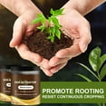 thumbnail image 2 of 60/120g Soil Activator Rooting Mineral Source Soil Nutrient Fertilizer Growth Loosening Stimulator B0J0 Root Improvement Flower soil soil multifunctional soil nutrition soil house plants plant, 2 of 9