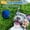 Blue, variant on Soft Latex Squeaky Dog Toys for Small Dogs Breed Latex Squeaky Dog Balls Pig Dog Toy Balls for Chew Suitable for Cute Pets Happy 2026!