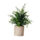 thumbnail image 4 of Planta artificial en maceta, planta de imitación, regalo de inauguración de la casa realista, decoración. Estilo B, 4 of 9