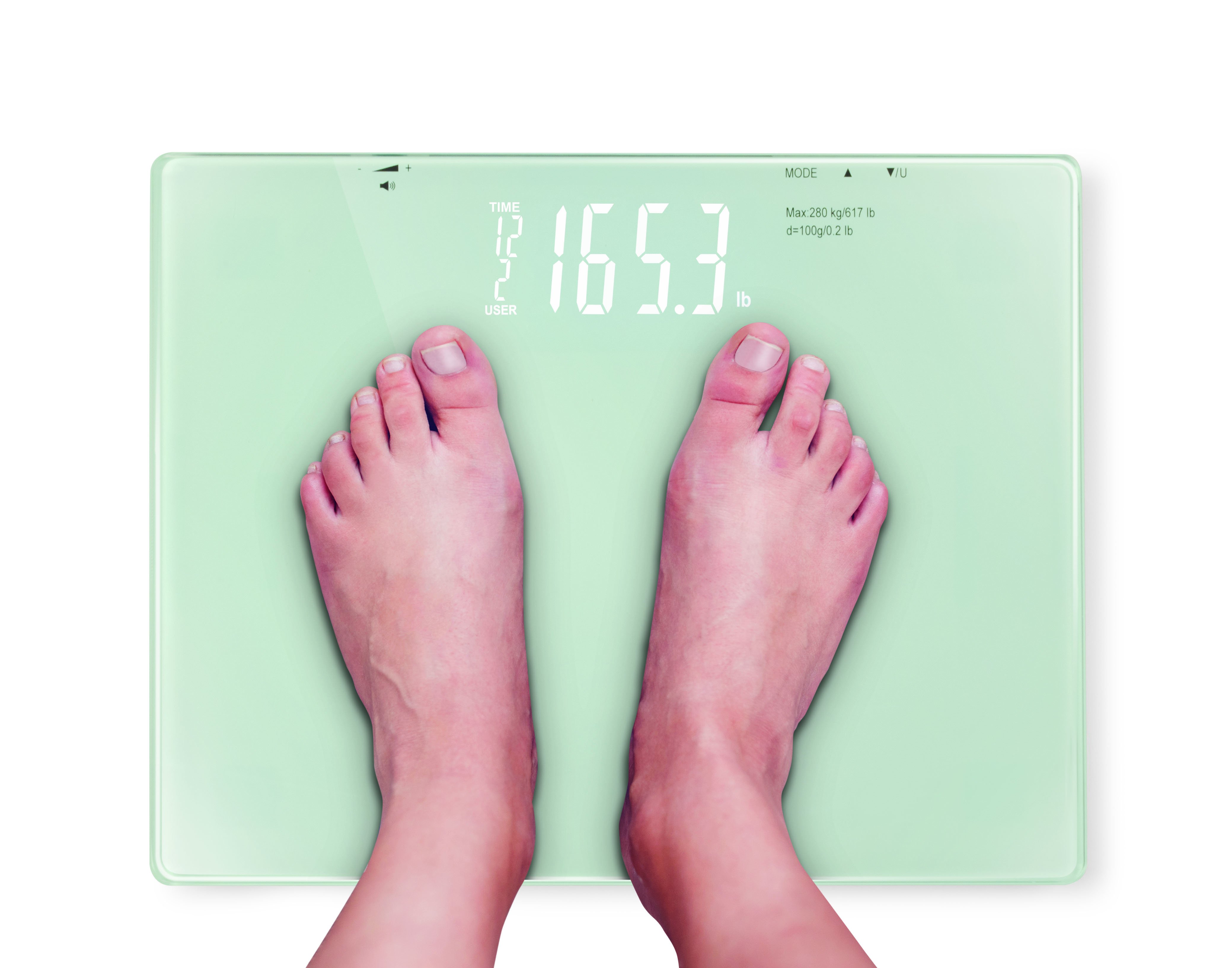 North American Wellness - Talking Scale 2.0