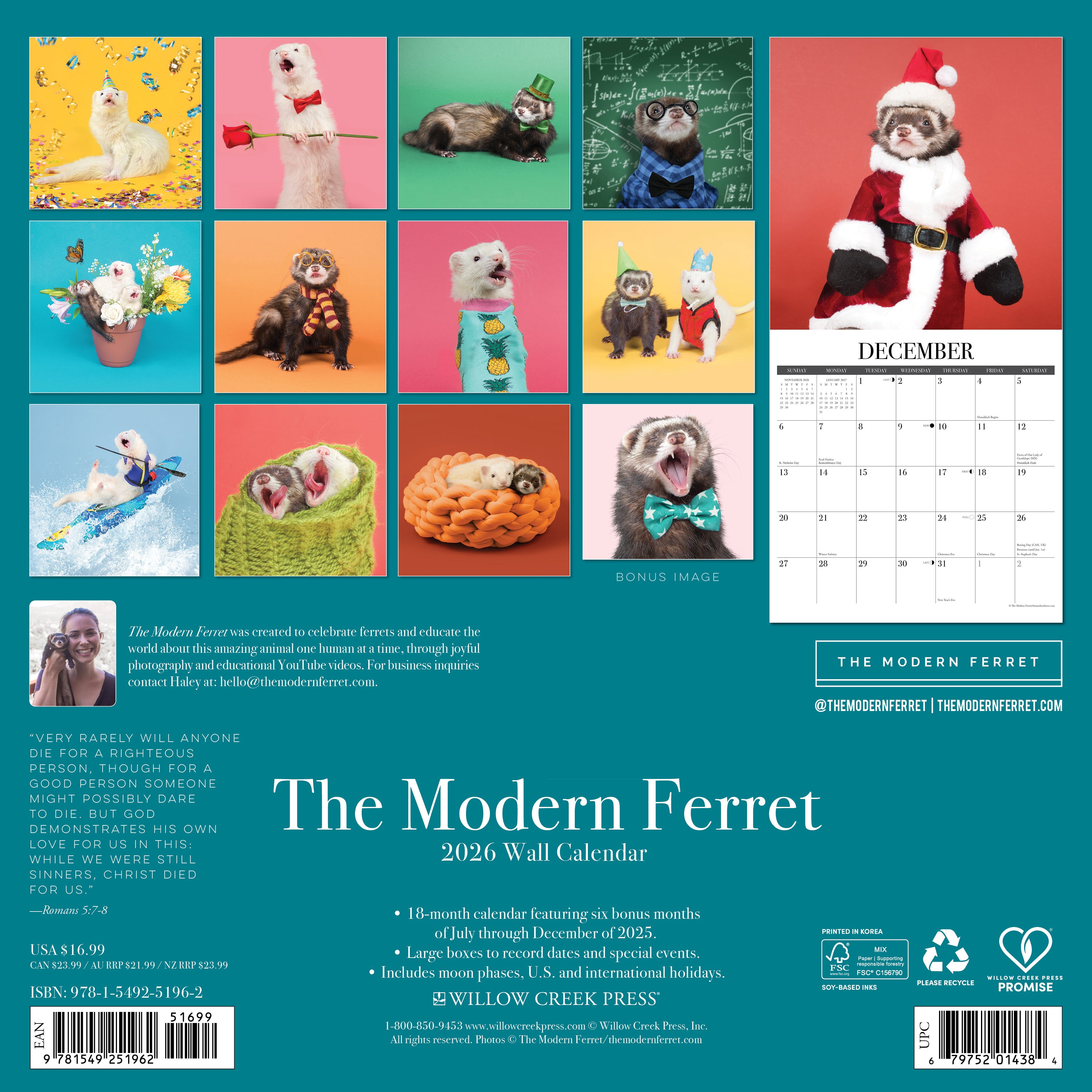 Modern Ferret (The) 2026 Wall Calendar, (Paperback)