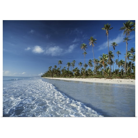 Great BIG Canvas | Rolled Ian Cumming Poster Print entitled Waves Lapping Shore Of Beach With Palm Trees Behind; Tanzania