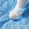 thumbnail image 4 of Cooling Pet Mat, Cooling Mat Cooling Pad for Dog, Chew-Resistant Cool Dog Mat for Summer Pet Heat Relief, Self-Cooling Pet Mat That Works As Travel Mat Pet Bed for Indoor Outdoor, 4 of 8