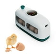 Ajauxi Hatching Chicks, 8 Eggs Poultry Hatcher, Cute Little Train Shape