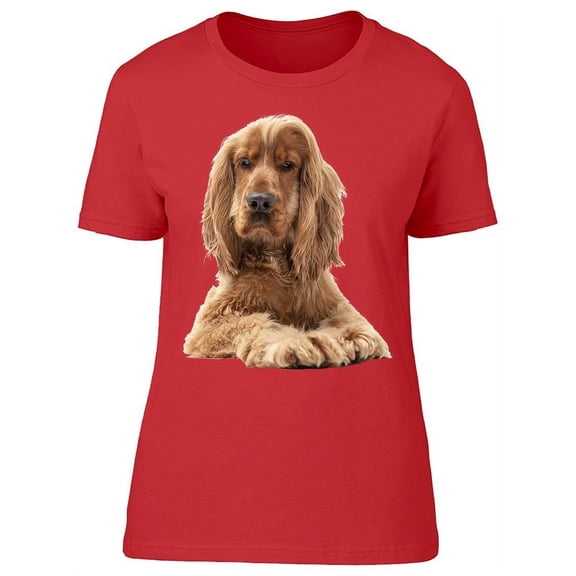 Spaniel Dog Laid Down T-Shirt Women -Image by Shutterstock, Female x-Large