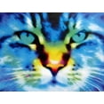 thumbnail image 1 of Tymeless Wonders Cat Wall Decal, 1 of 2