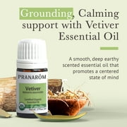 Pranarom Organic Vetiver Essential Oil, Dark Amber/Deep Olive Color