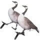 thumbnail image 3 of 2pcs Garden Duck Stakes Garden Decoración de patos Decoración de pato acrílico Decoración de jardín, 3 of 6