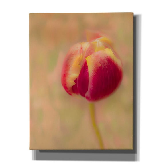 Epic Graffiti 'First Bloom' by Pamela Plummer, Canvas Wall Art, 26"x34"