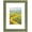 Green With Gold Trim, variant on , 9x12 Photo Frame With Mat for Pictures 6x8 and Real Glass (Green With Gold Trim - White Color Mat, 1.25 Inch Frame Border)