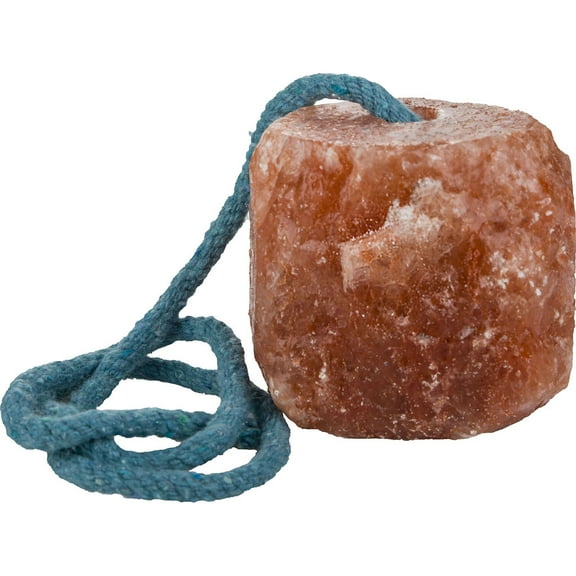 Gatsby Leather Company-Himalayan Rock Salt Lick On A Rope For Horses- Pink 1 Pound
