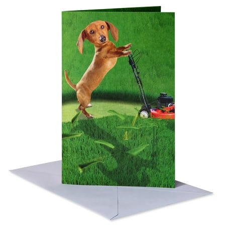 American Greetings Father's Day Card (Lawn Mowing Dog)