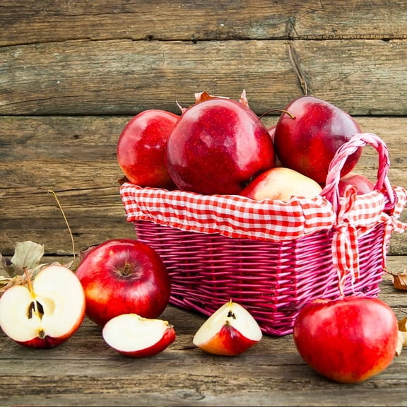 Brighter Blooms - Red Delicious Apple Tree, 3-4 ft. - No Shipping to AK, AZ, CA, HI, ID, OR, WA