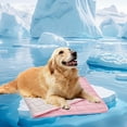 thumbnail image 1 of Cat Pads Summer Pads Dog And Cat Pads Pet Self Pads Summer Ice Pads Scratch Natural, 1 of 4