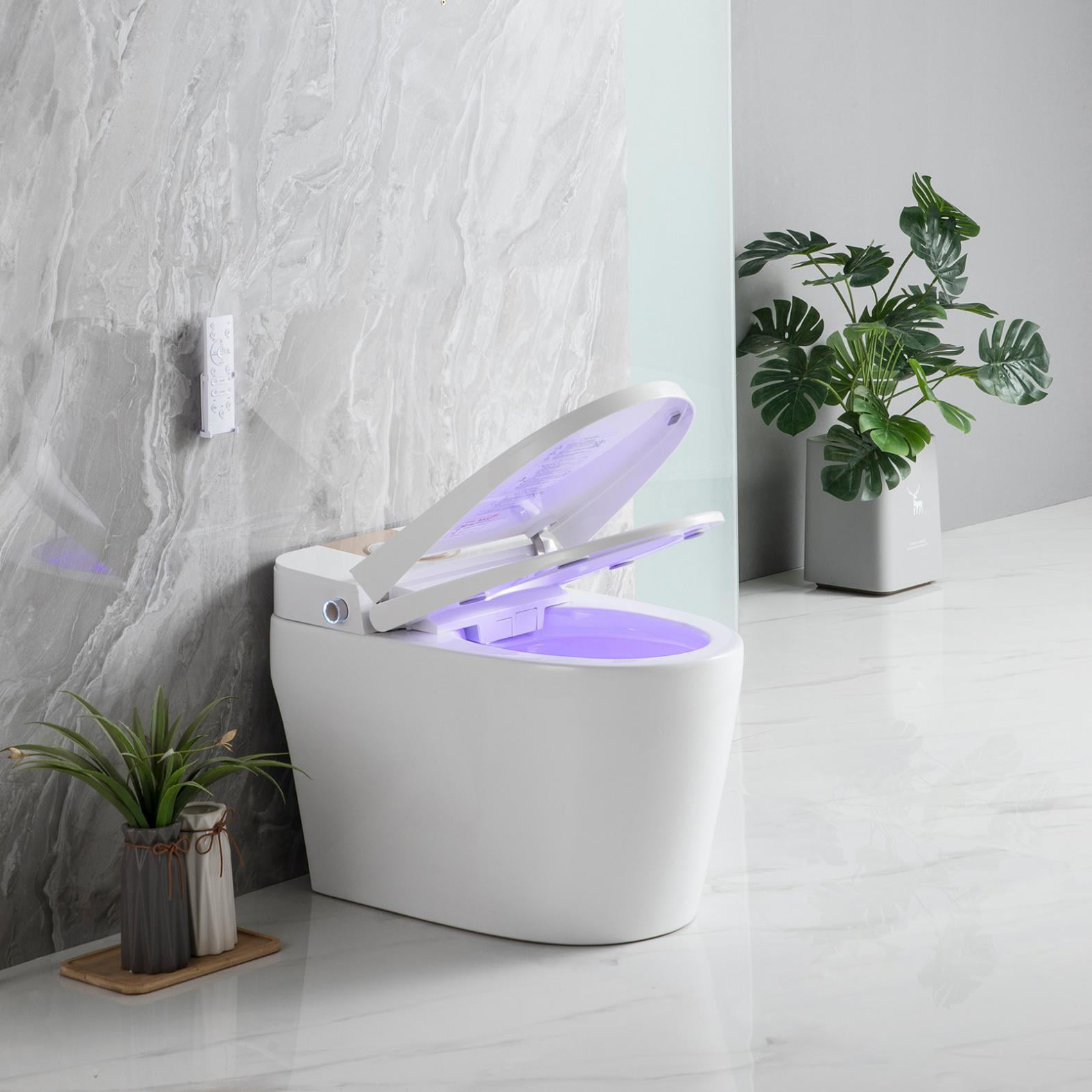 Washroom Hygienic Protection Bidet Body Clean Machine Smart Toilet Flushing 