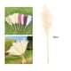 thumbnail image 3 of 5 piezas de hierba de pampa artificial de 70 cm de alto, flor pomposa falsa para bricolaje, fiesta de boda beige, 3 of 9