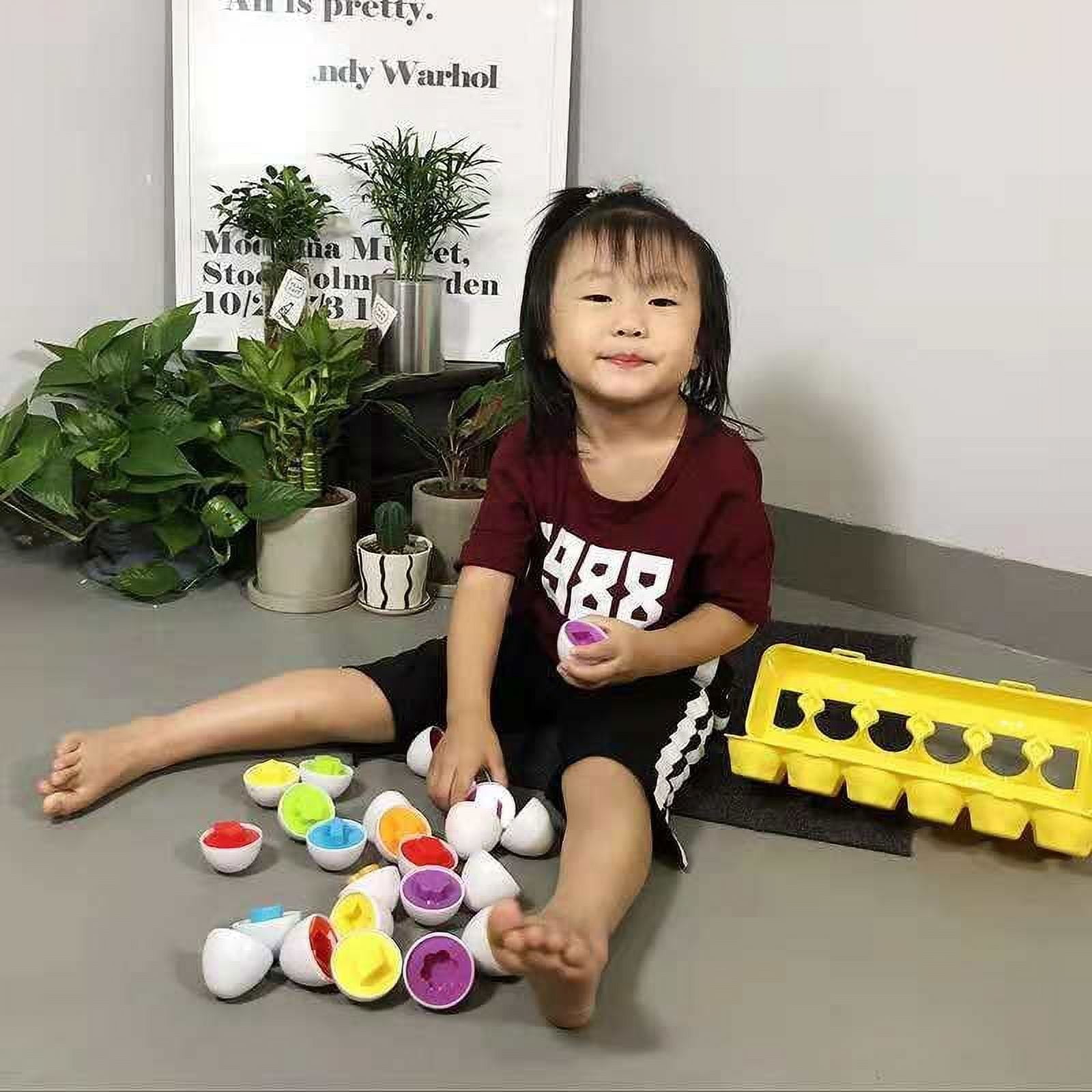 Playdate Matching Eggs Educational Toys