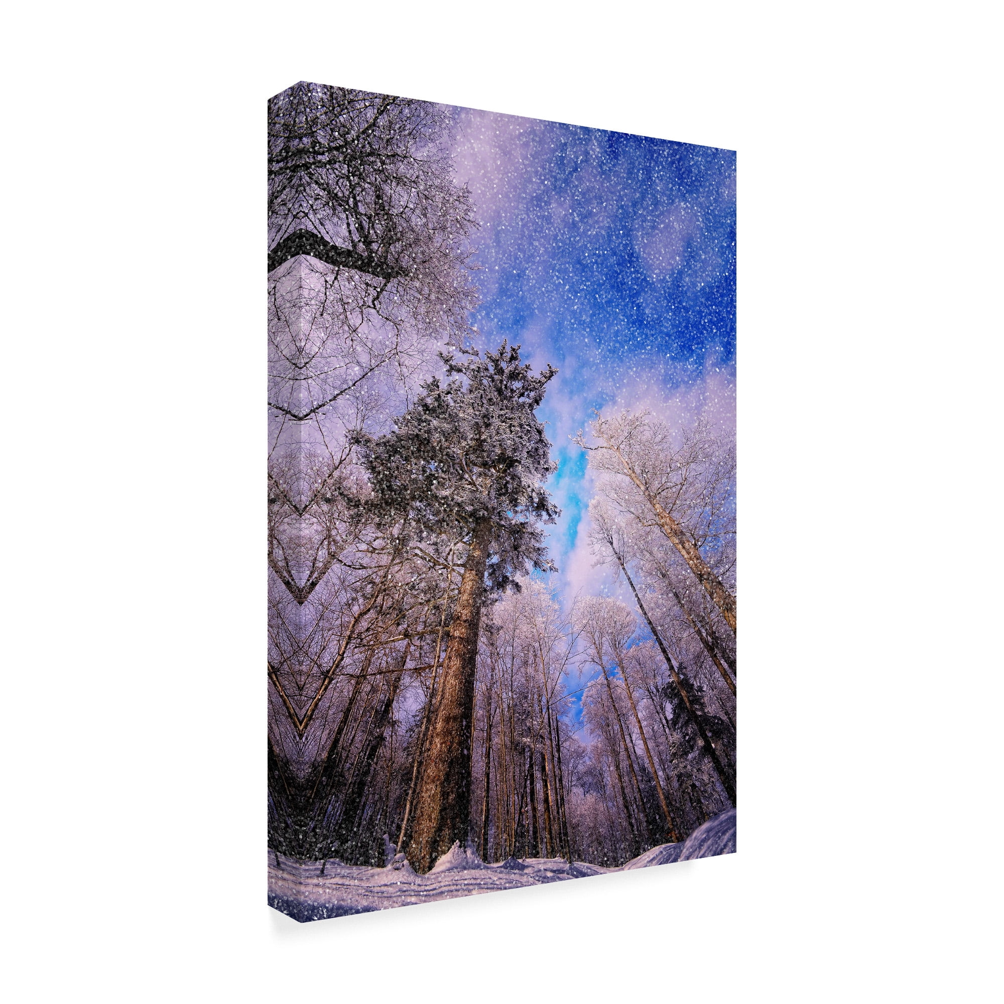 Trademark Fine Art 'Let It Snow Trees' Canvas Art by Philippe Sainte-Laudy