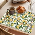 thumbnail image 3 of Summer Lemon Placemats Set of 4 Farmhouse Tropical Botanical Fruit Place Mats Indoor Wipeable Table Mats Washable Cloth Dining Table Placemats for Kitchen Holiday Party Home Decor 13x19 Inch, 3 of 9