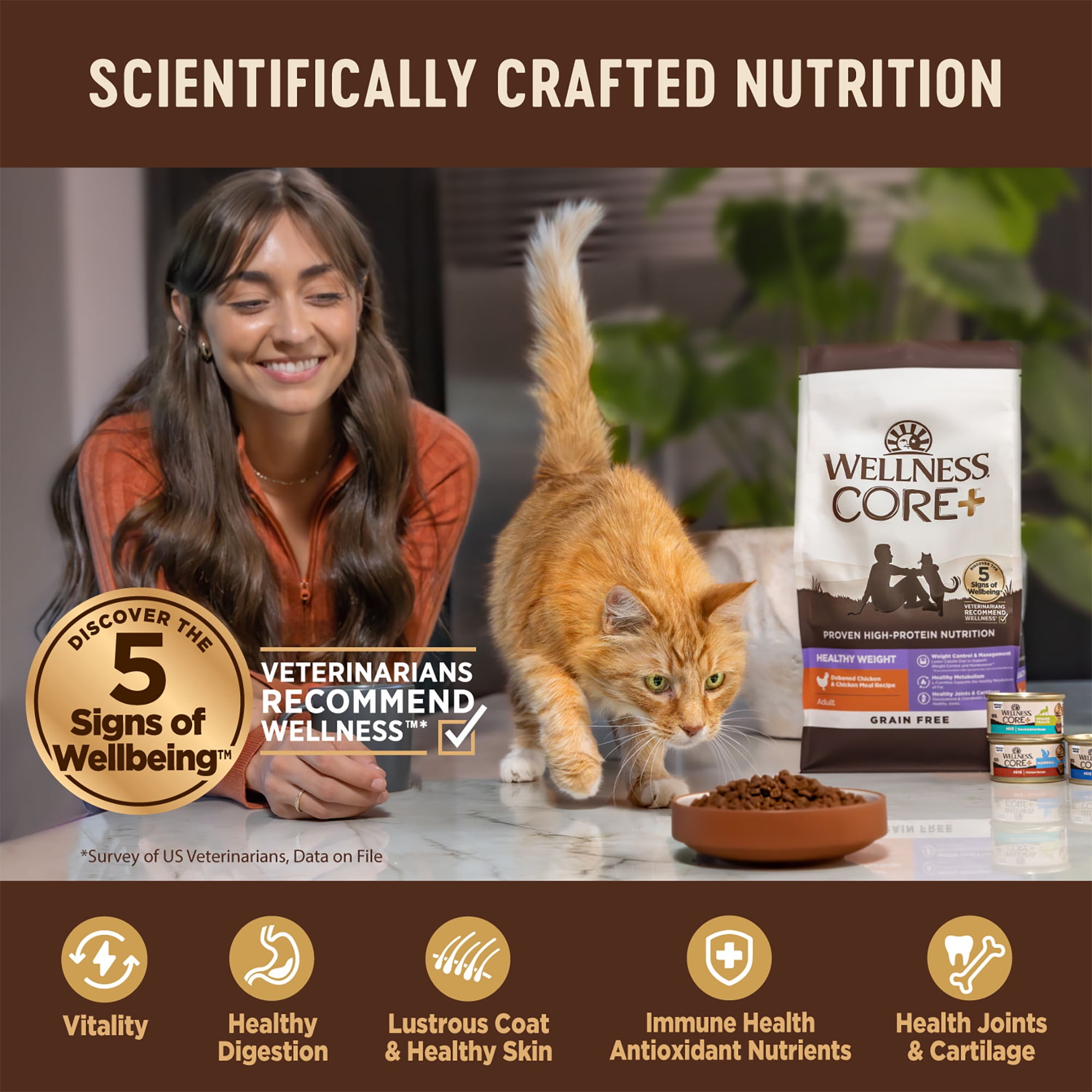 Wellness CORE+ Adult Dry Cat Food for Indoor Cats, Natural, Grain Free Kibble, Chicken and Turkey Recipe, 11 lb Bag