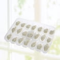 thumbnail image 2 of MasteelfCA 1PC Dumpling Case Single-Deck Fresh-Care Dumpling Box for Home Restaurant Kitchen Store (21-Grid), 2 of 7