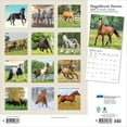 thumbnail image 2 of Magnificent Horses | 2026 12x24" (Hanging) Monthly Square Wall Calendar | Plato, 2 of 9