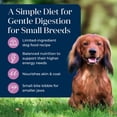 thumbnail image 5 of Blue Buffalo Basics Small Breed Adult Dog Food, Skin & Stomach, Turkey, Chicken Free, 11lb, 5 of 13