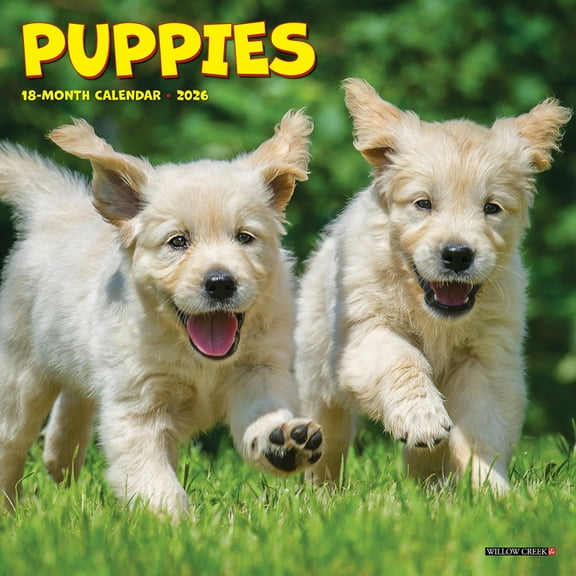 Puppies Mini Wall Calendar, (Paperback)