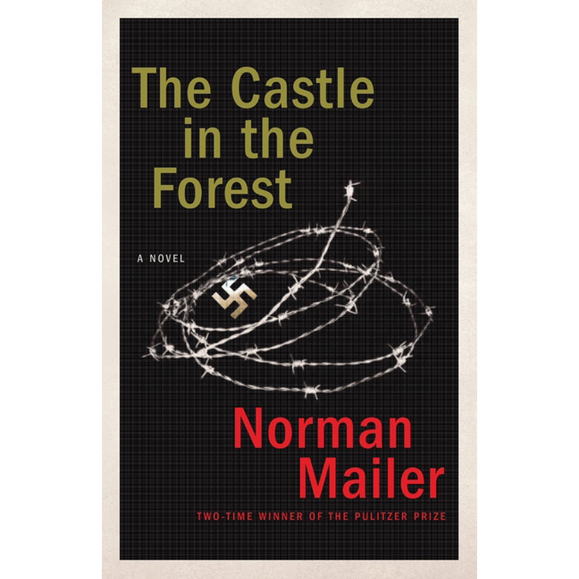 The Castle in the Forest : A Novel (Paperback)