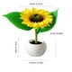 thumbnail image 3 of Luces de noche Botón de pila Girasol LED Simulación Luz de noche Habitación Dormitorio Decoración de noche Luz Lámpara de girasol, 3 of 9