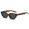 thumbnail image 1 of Gafas de sol Gafas de sol Nicho Cat Eye Pentagram Gafas Negro Gris XianweiShao 9024715108357, 1 of 1