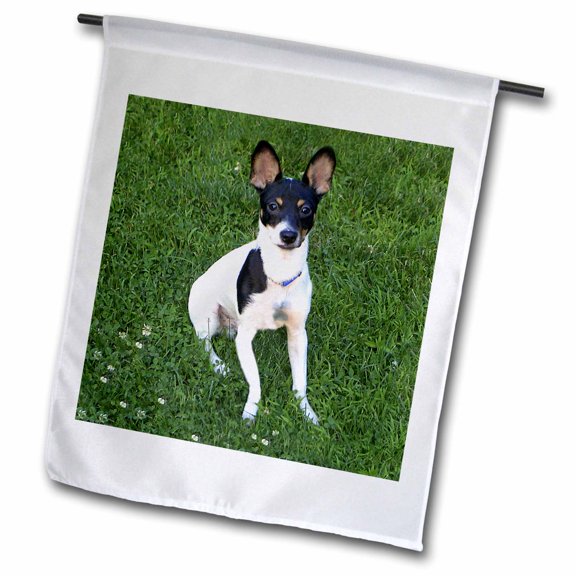 3dRose, Toy Fox Terrier 1, 12 x 18 inch Garden Flag