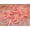 Coral, variant on Minerva Core Range Gemini Crinkle Sheer Chiffon Fabric, Shell Pink Solid for Dressmaking, 58" Wide, By the Yard