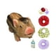 thumbnail image 2 of Muñeca de cerdo renacida linda muñeca de animal juguete realista muñeca de cerdo de silicona para Estilo C, 2 of 9