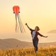 thumbnail image 5 of Kites for Kids Easy to Fly Long Tail 157 Inches, 5 of 8