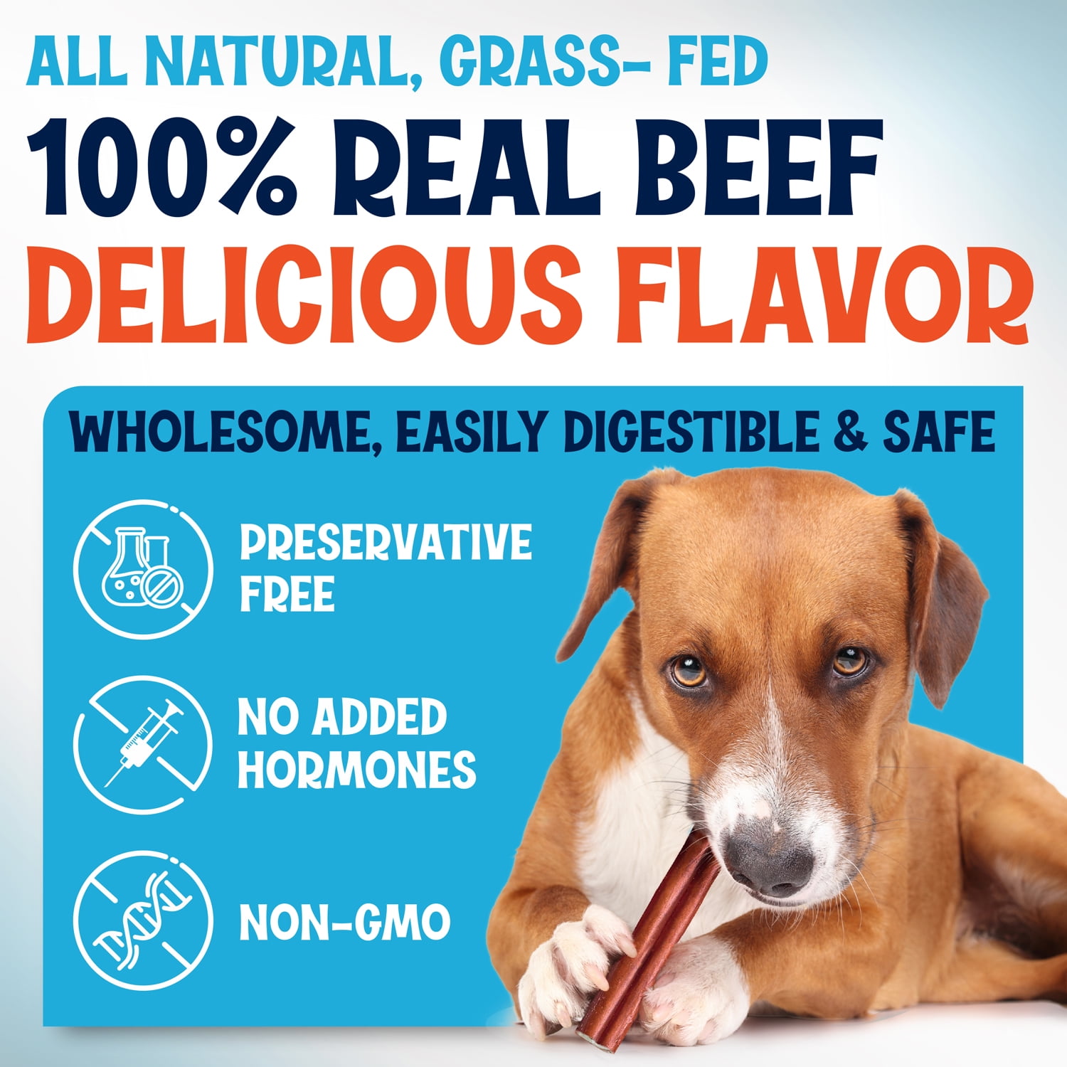 Fetcheroni Odor-Free Thin Bully Sticks for Dogs, 12 Inch, 10 Pack